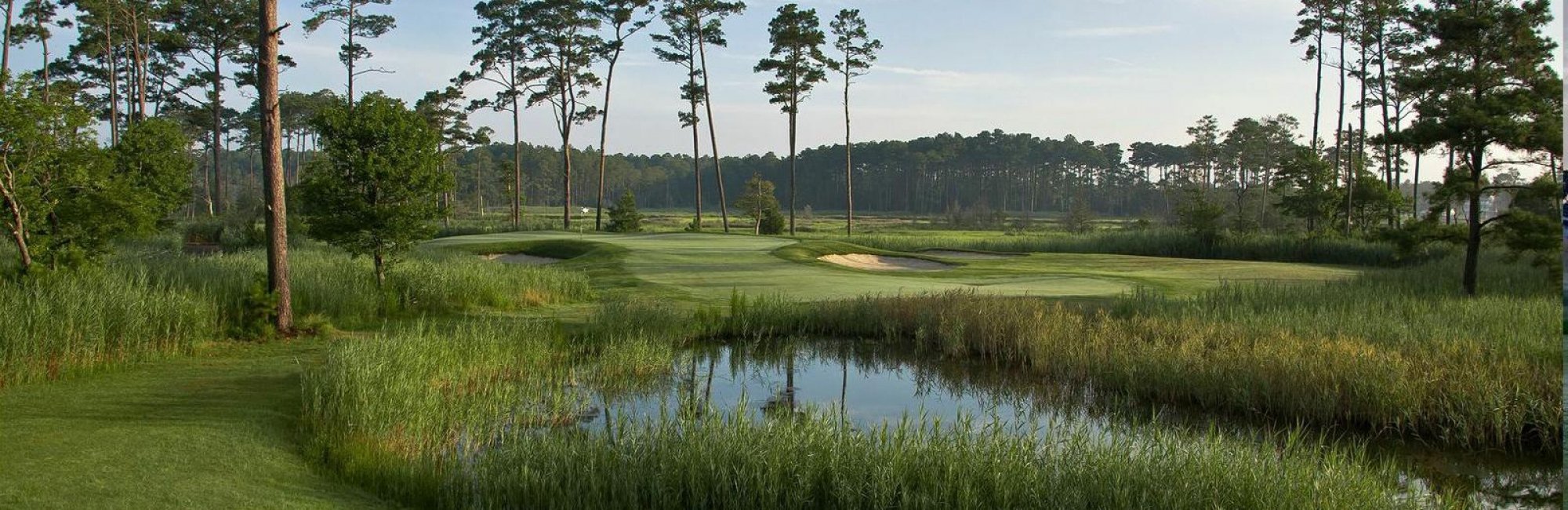 golf course surrounded by trees with marsh